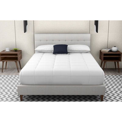 Queen Upholstered Bed With 2 Nightstands, Stone Color Feature, 100% , Walnut Nightstand Tempting, Beige Bedroom Intriguing Distinction, Brilliance