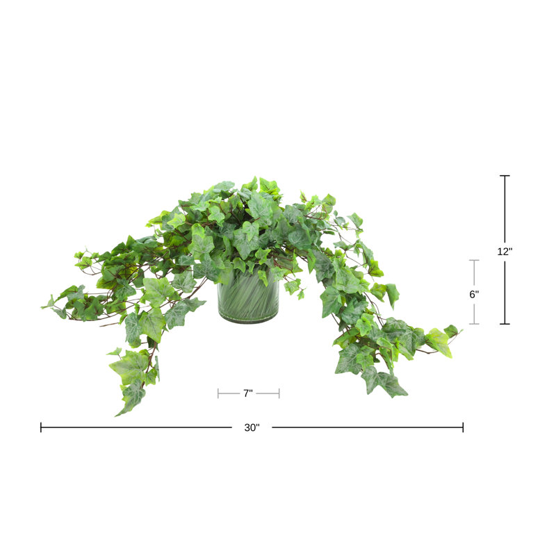 Ivy In Glass Vase With Grass