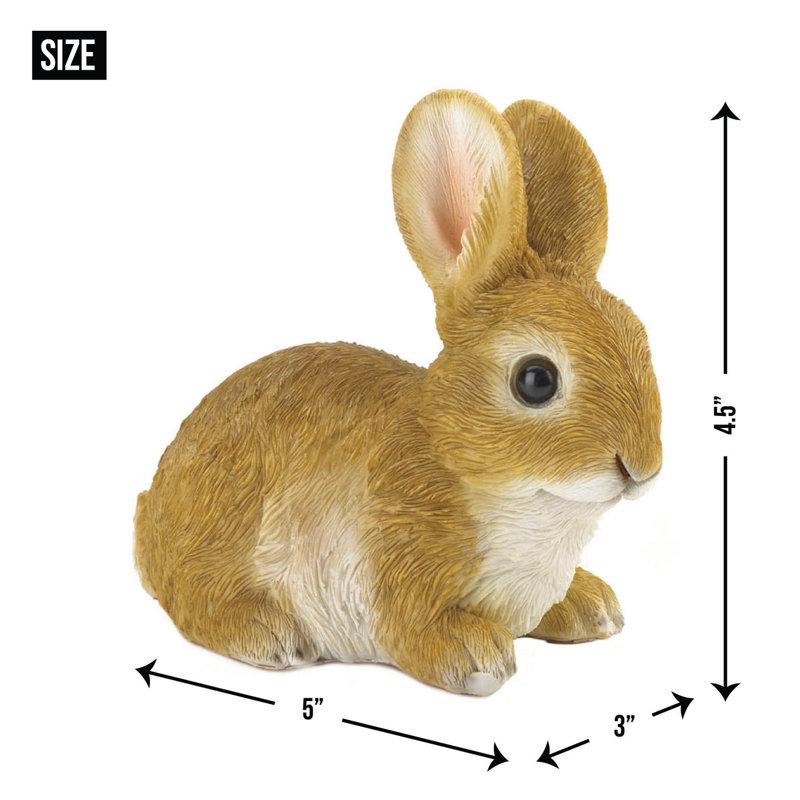 VIVID BUNNY