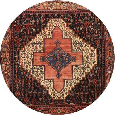 Oriental Indoor Rug