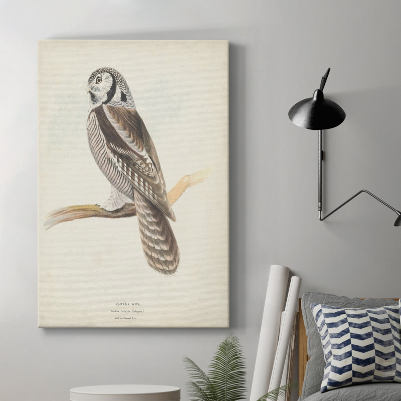 Canada Owl - impression sur toile tendue, H 18 po x l 12 po x P 1 po