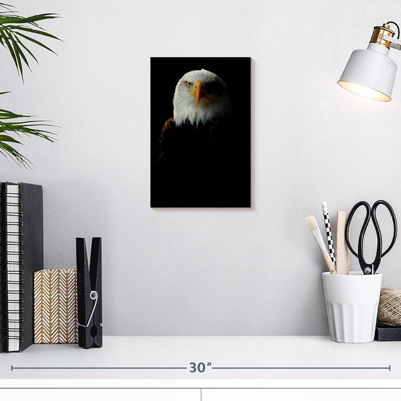 Brampt Bald Eagle Headshot, 12" H x 8" W