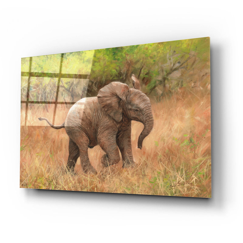 «Ebern Designs», Baby African Elephant2 par David Stribble, art mural en verre acrylique, H 16 po x l 24 po x P 0,2 po