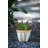 Pot Planter