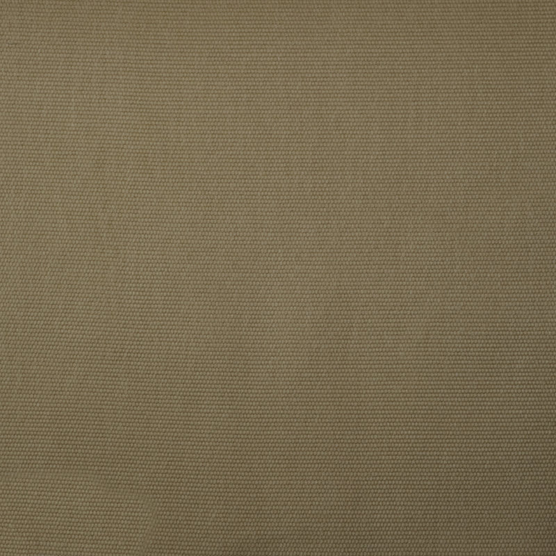 Leah 100% Cotton Fabric, Oat