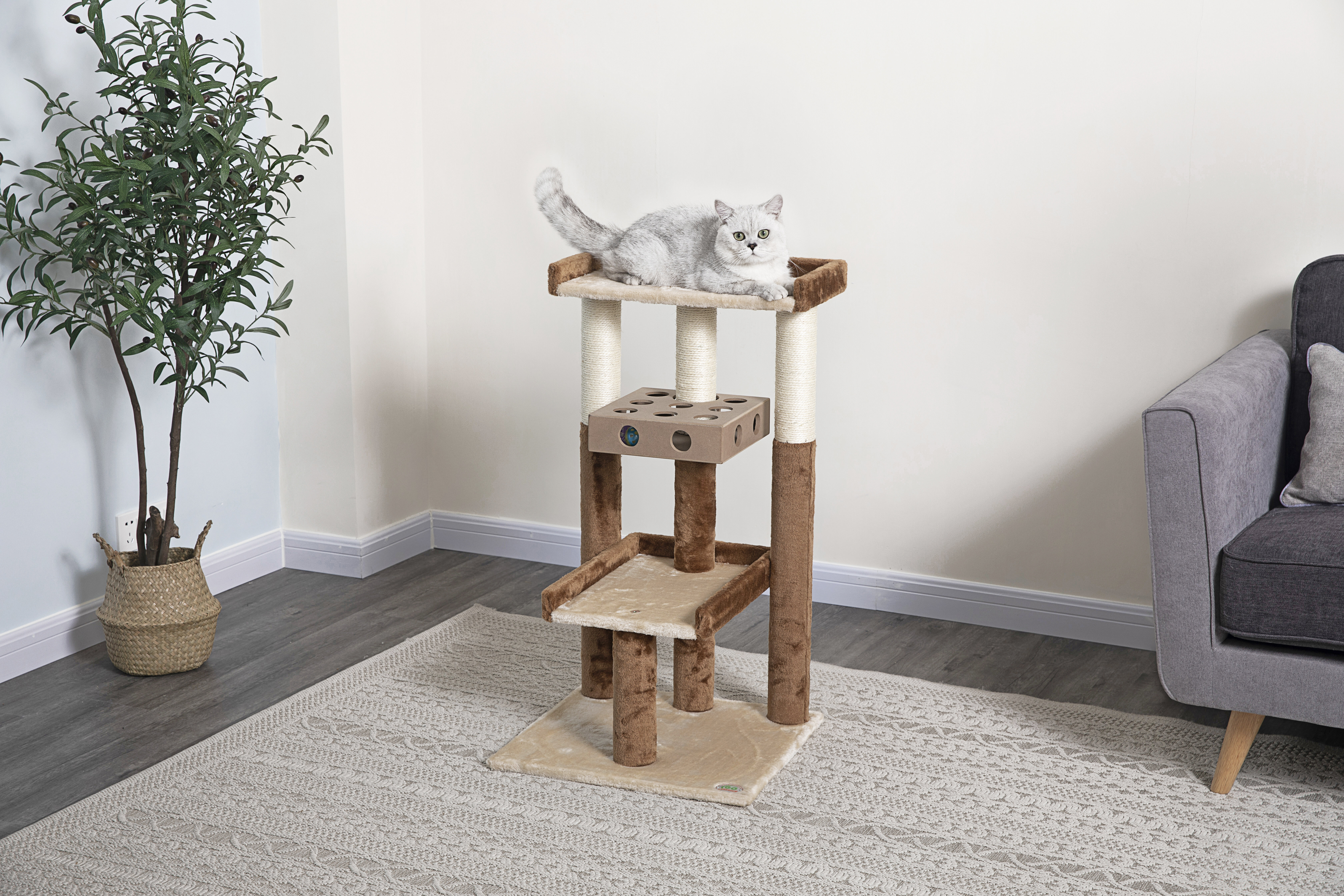 Iq box cat outlet tree