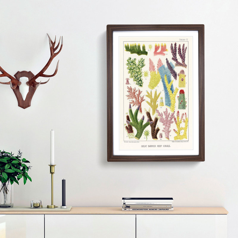 Great Barrier Reef Corals IX by W. Saville-Kent - Picture Frame Painting Print, 48cm H x 36cm W x 2cm D, Walnut Framed