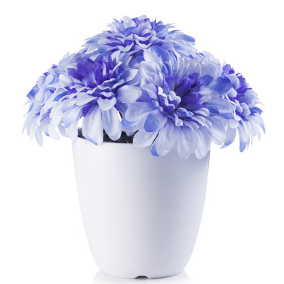 Arrangement floral dahlia en pot