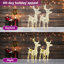 Indoor / Outdoor Holiday Lighting-1235403032