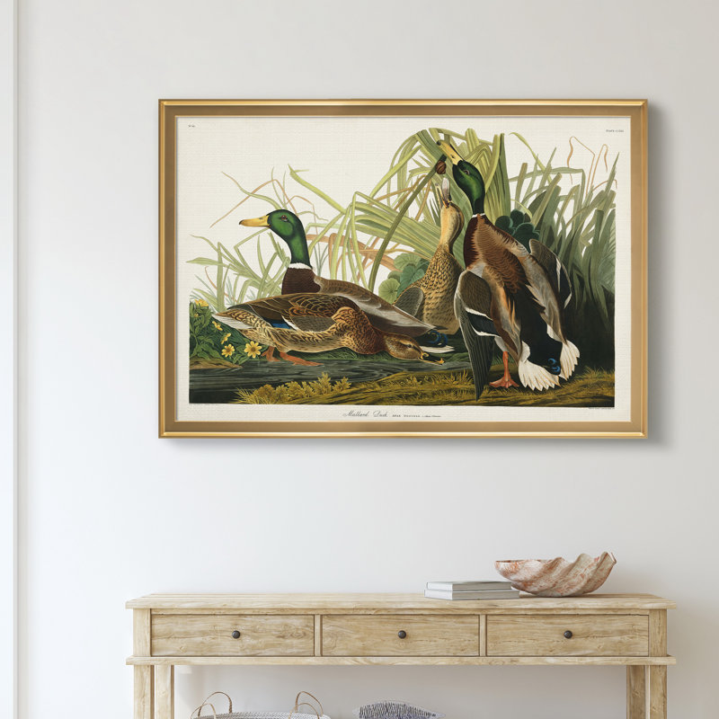 Mallard Duck - reproduction d'art sur toile, H 18,5 po x l 24,5 po x P 1,5 po, Doré