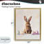 Lapin de Pâques avec cadre flottant œufs pastel, design par The Prints Vibe-242144078-242144178