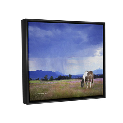 " Spotted Horse Grazing Country Grassland " by Chris Vest