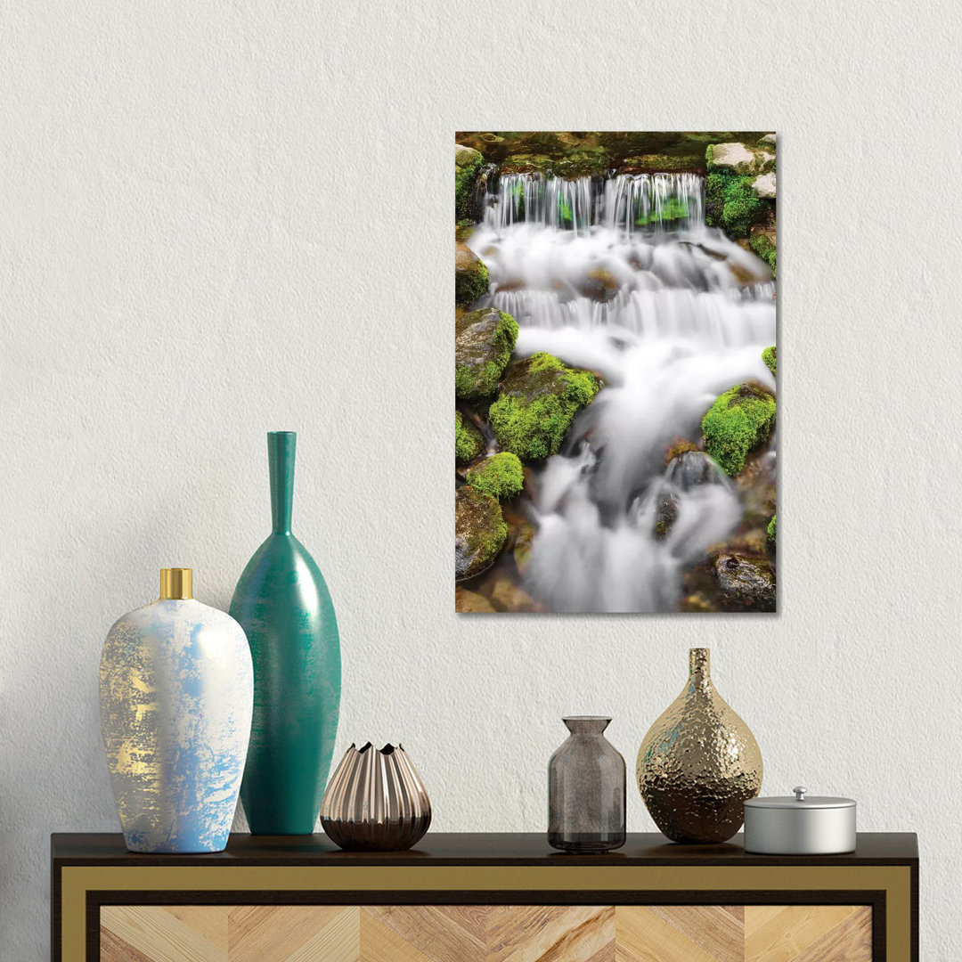 Fern Spring I, Yosemite National Park, California, USA by Russ Bishop - Gallery-Wrapped Canvas GiclÃ©e on Canvas