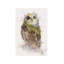 Owl by Daniel Taylor - Print on Canvas-56742247-112914965
