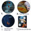 Décoration murale Dreamy Marine Encounter - Tortue-2104642231-2104642230