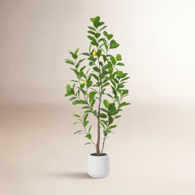 Adcock Artificial Plastic Lemon Tree in Pot, Pre Potted Faux Greenry Lemon Plant for Home Decor
