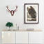 Golden Eagle by John James Audubon - Picture Frame Painting Print-55608809-55608808