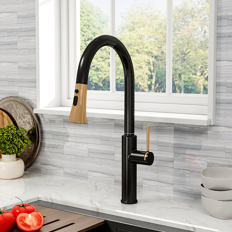 Belfry Kitchen Pull Out Kitchen Faucet