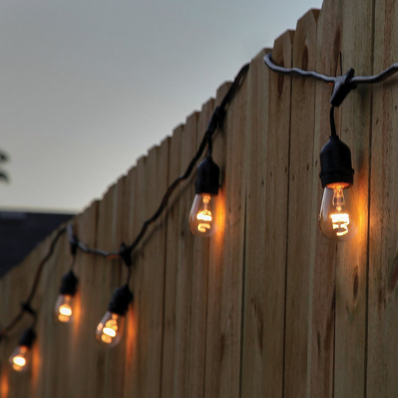 Rentas Indoor / Outdoor 8 - Bulb 24.5 in. Plug-in LED Standard String Light
