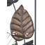 Coastal Wall Decor