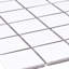 The Tile Life Cube 2" x 2" Porcelain Mosaic Floor and Wall Tile