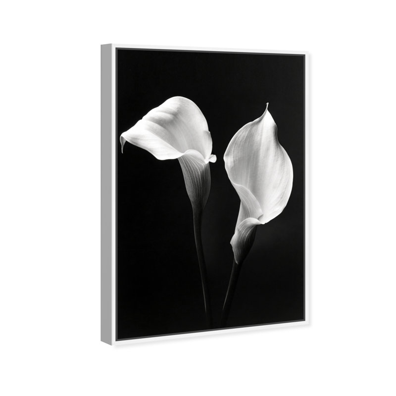 Calla Lily Floral & Botanical Canvas Print by Oliver Gal, Black Frame, 10 x 15, 31"H x 46"W, White Floater Frame