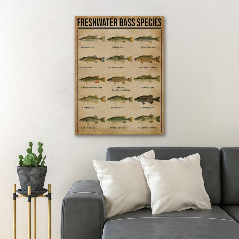 Knowledge About Fish - Freshwater Bass Species - 1 Piece Rectangle Graphic Art Print On Wrapped Canvas, 14" H x 11" W x 2" D
