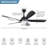 52Inch 5 Blades 3 Color Ceiling Fan Light With Remote Control White-774740614-774740615