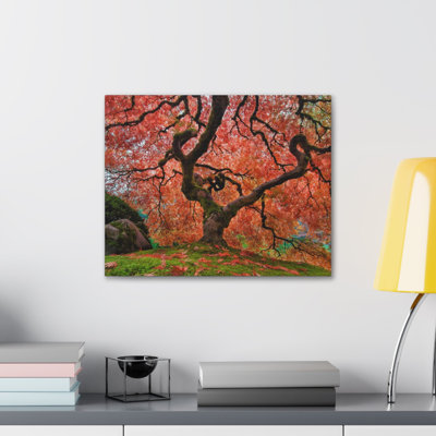 Old Japanese Maple Tree In Japanese Garden Canvas Wall Art