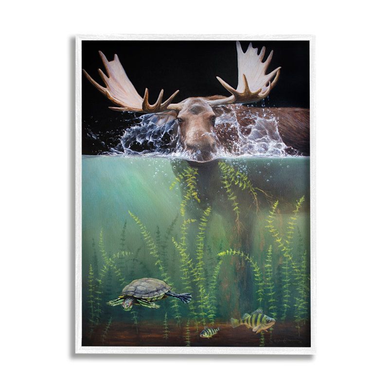 Az-014-Vue encadrée d'un orignal sous l'eau, H 30 po x l 24 po x P 1,5 po, Estampe numérique encadrée blanc bord de mer