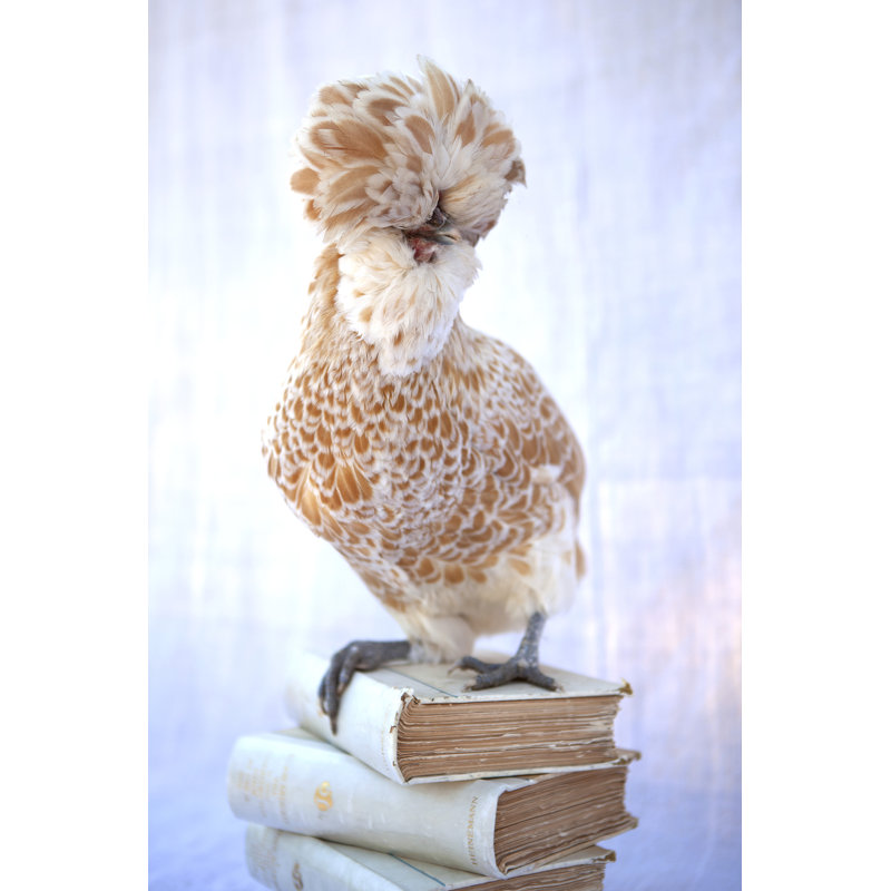 Tania Soderman Books V by Tania Soderman - Wrapped Canvas Print, 122cm H x 81cm W x 3.8cm D
