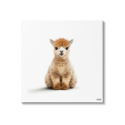 " Baby Alpaca Portrait " by RB