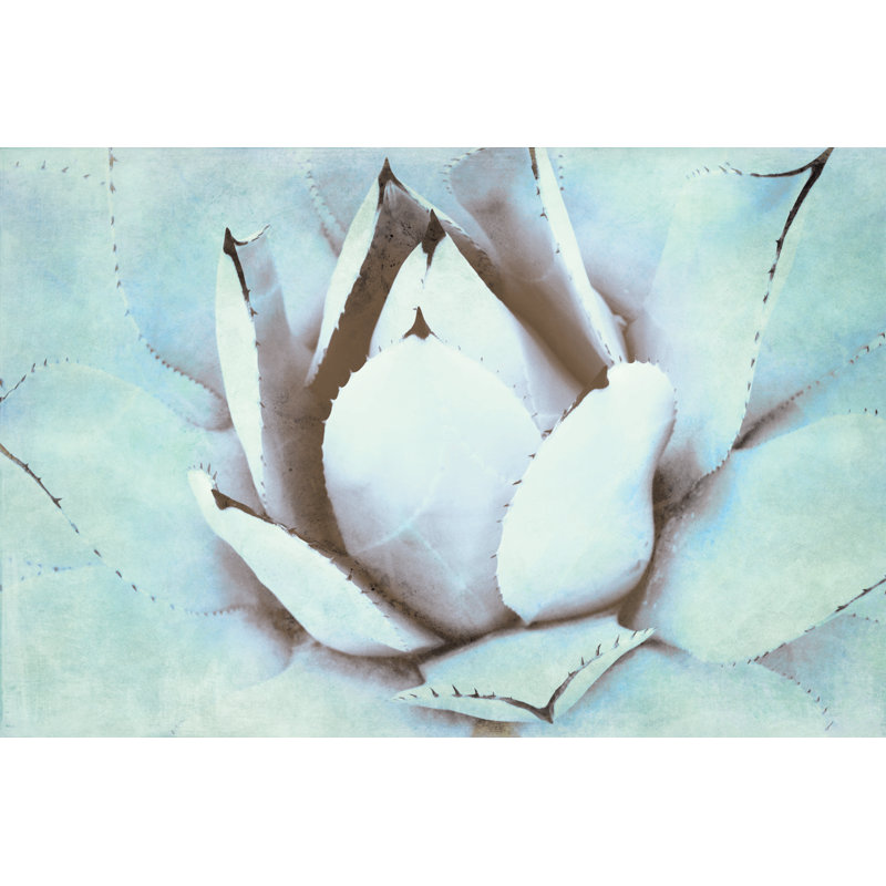 Pastel Succulents 7 - Wrapped Canvas Painting, 30cm H x 46cm W x 3.8cm D