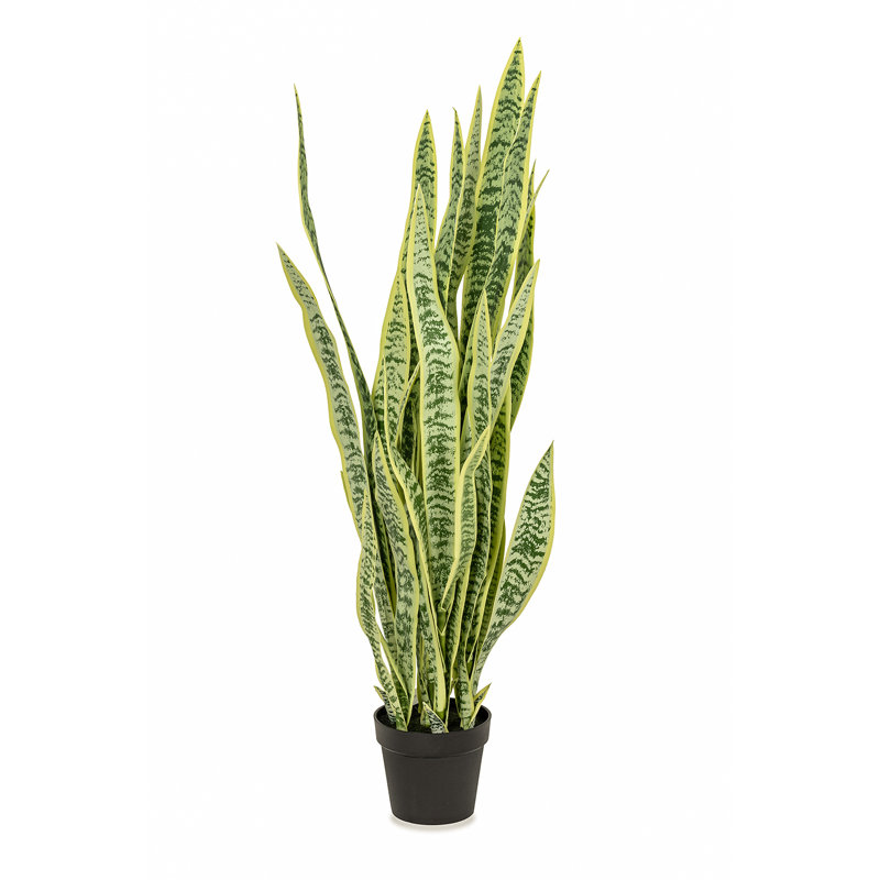 Fausse plante dracéna en pot Rummond, Vert et jaune, H 52 po x l 20 po x P 20 po