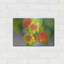 "Fleurs" par AKG-1628631269