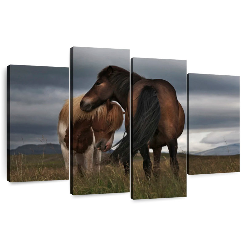 Brampt Free Iceland Pony, 42'' H x 68'' W
