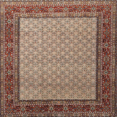 Derk Oriental Indoor Rug