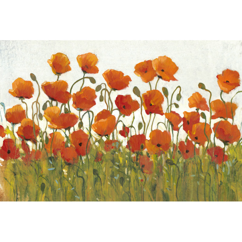 Rangées de coquelicots I, H 24 po x l 36 po x P 1,25 po, Non, Unframed