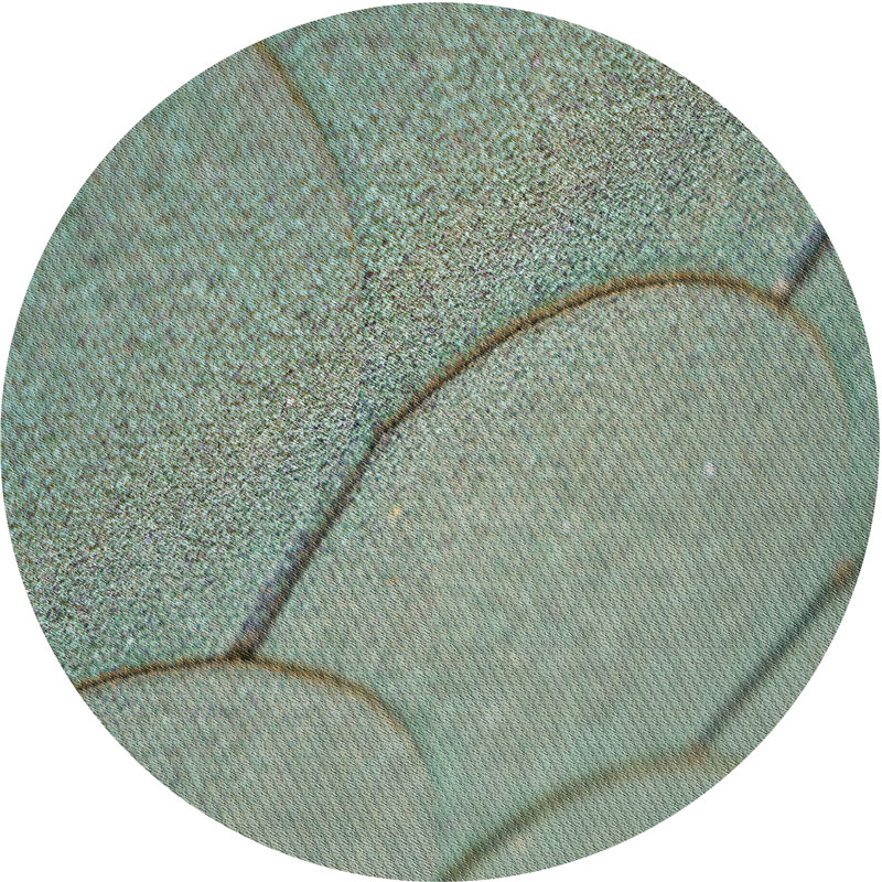 Tapis vert clair/gris à motifs, Rond 5 pi