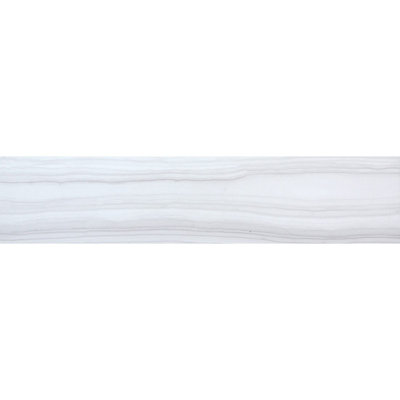 Chronicle 24'' L x 3'' W Porcelain Tile Trim