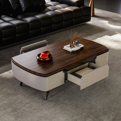 Modern minimalist storage coffee table