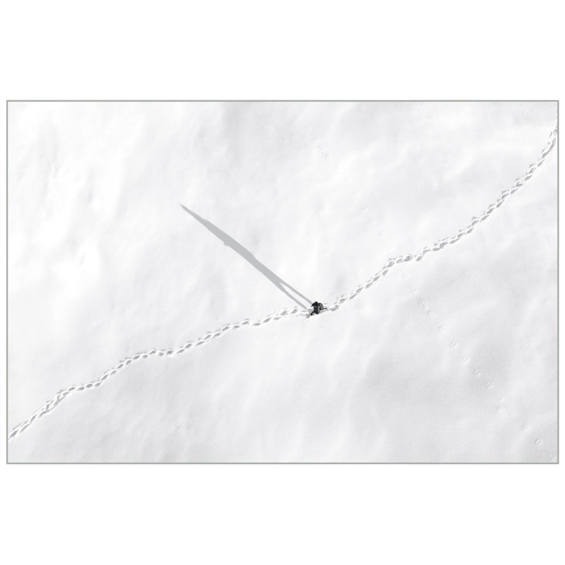 Serene Hike 1 Print by Thom Filicia