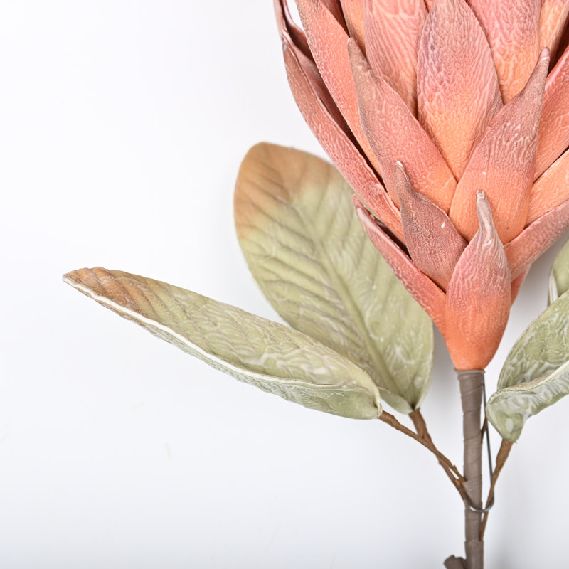Protea Cynaroides, arrangement floral, longue tige, Rouge