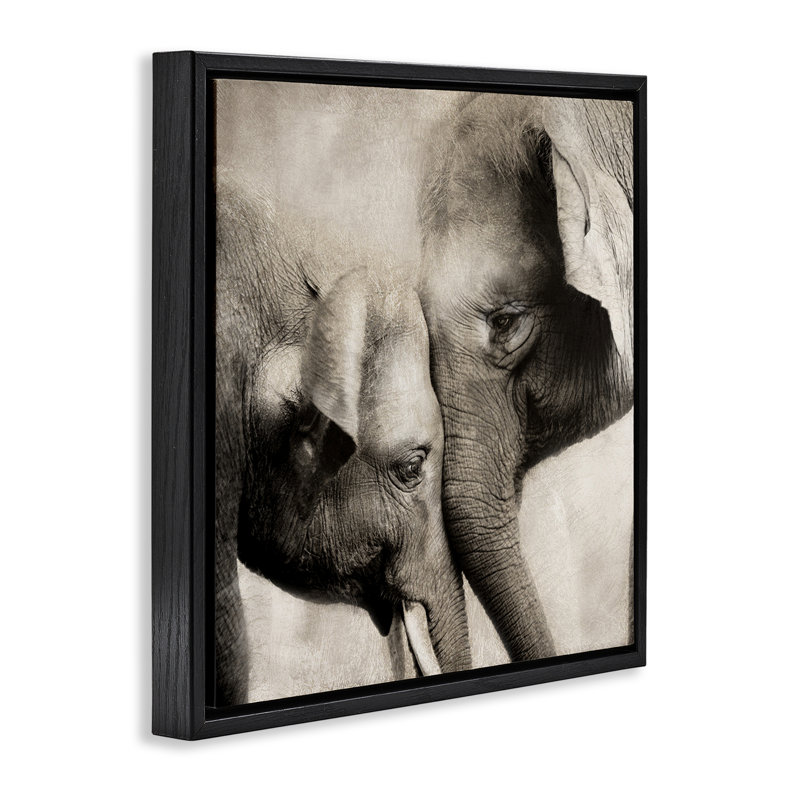 Cadre flottant éléphant et bébé, conception par CAD Designs, Cadre flottant noir de jais, H 18 po x l 18 po