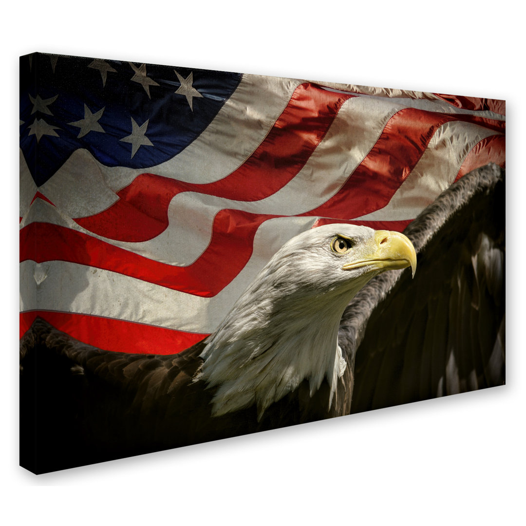 Vidur 'American Eagle' Graphic Art Print on Wrapped Canvas Millwood Pines 