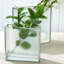 Ensemble de 3 vases en verre Frosted