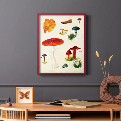 Reproduction encadrée champignon Mushroom Species