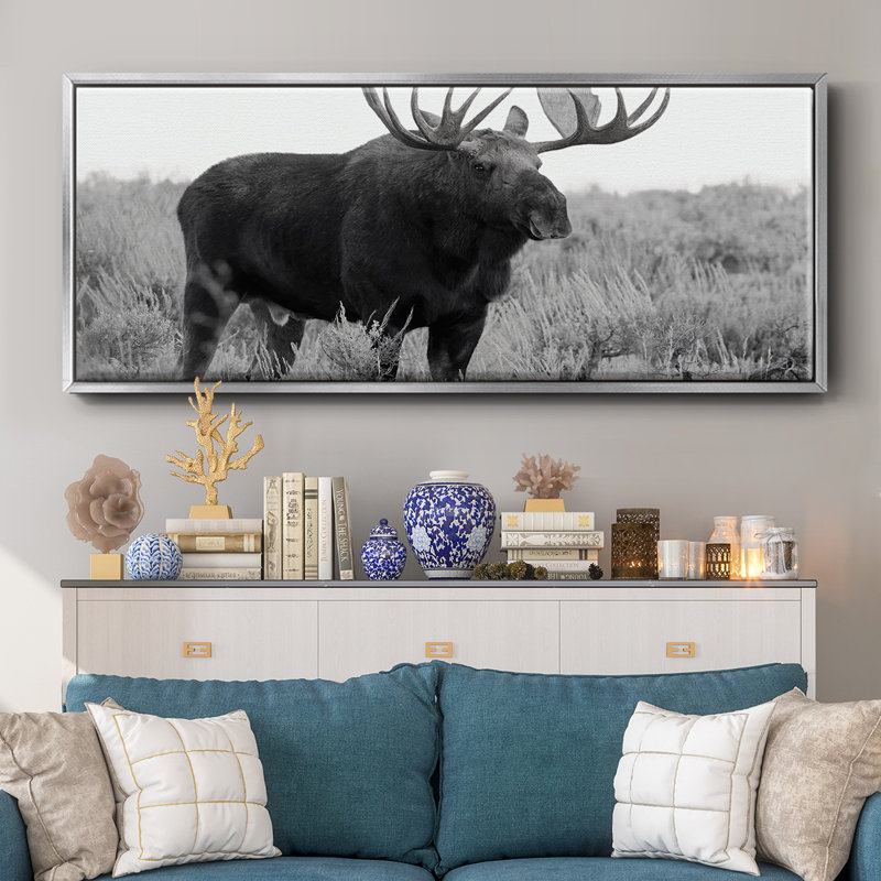 Grand Teton Bull Moose - toile encadrée, H 8 po x l 20 po