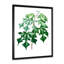 Feuilles de plantes II - reproduction d'art sur toile-59637991-59637933