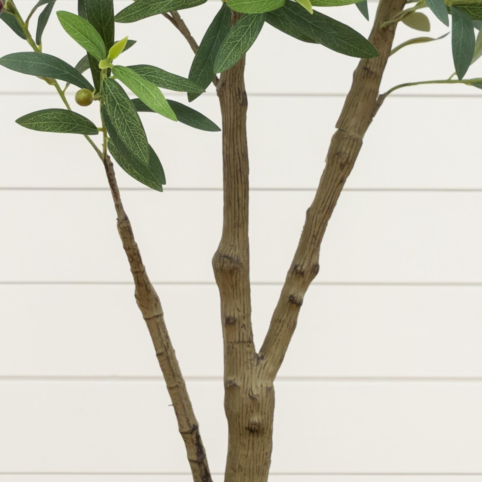 Tree, 4ft